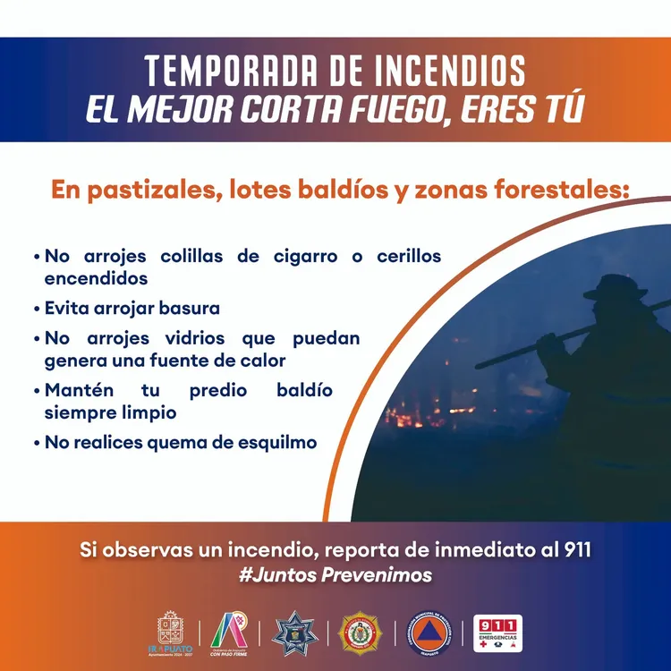 WhatsApp Image 2025-12-23 at 15.24.54