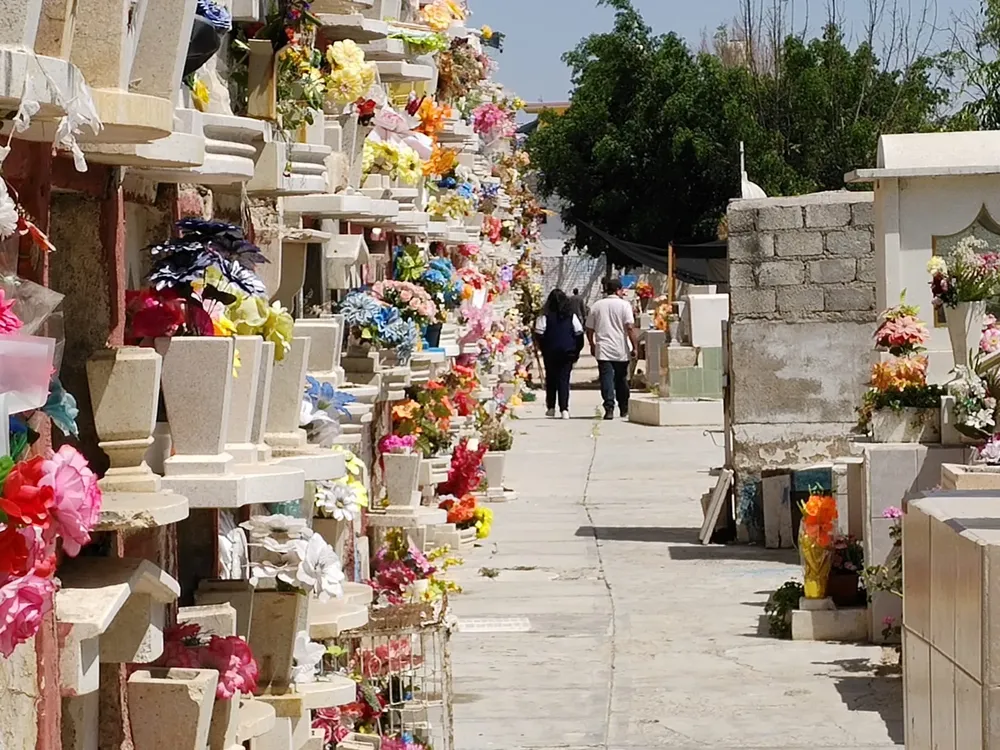 ff556c01-562d-4fdb-ac79-2aa2b2dbf20c