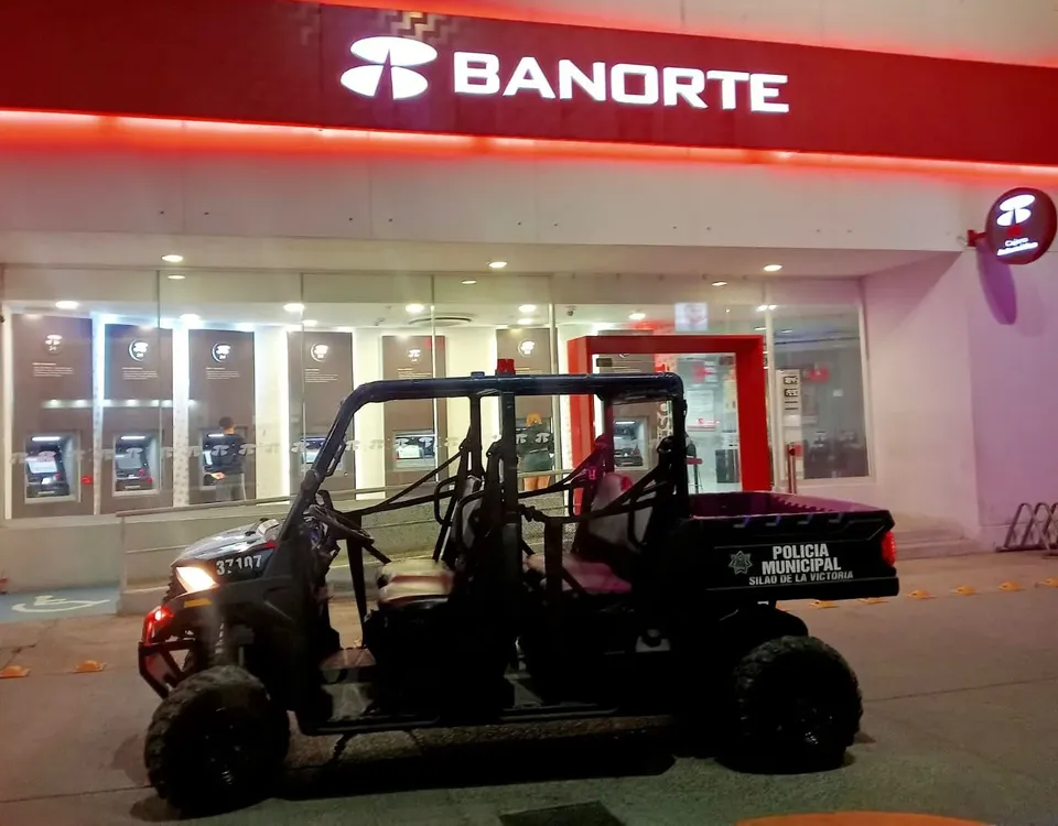 WhatsApp Image 2024-11-19 at 16.23.52