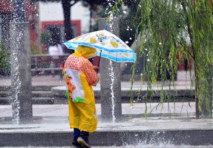 Blindan-al-municipio-okokok