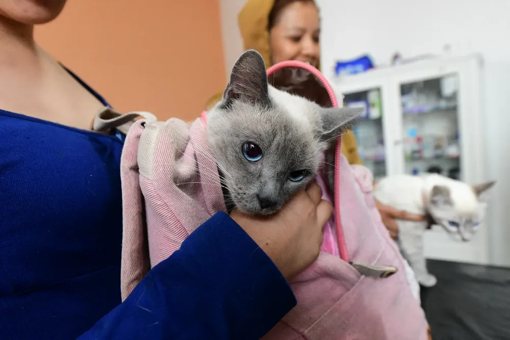 WhatsApp Image 2025-09-17 at 10.25.49 AM