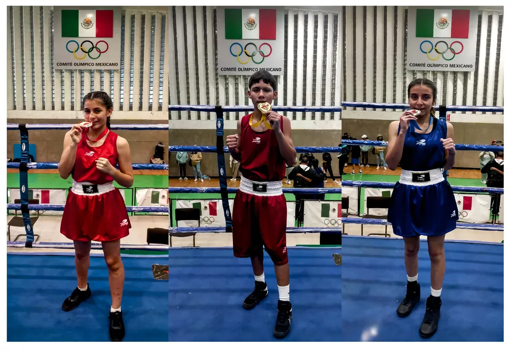 Boxeadores Silao