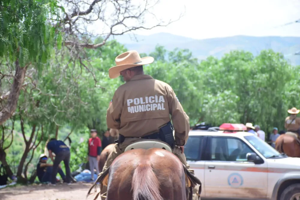 WhatsApp Image 2024-08-01 at 16.16.06