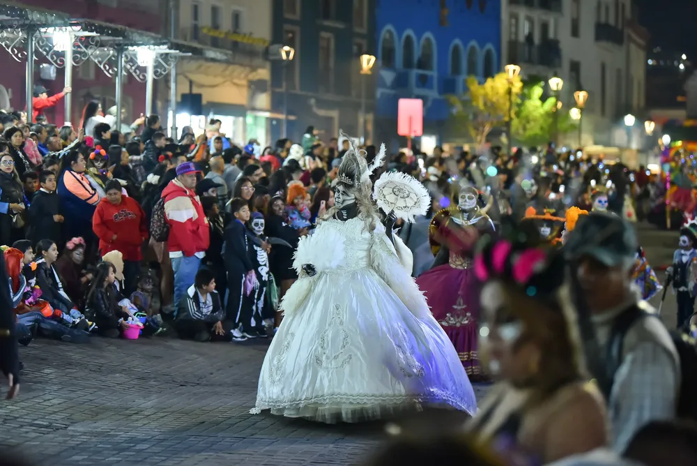 WhatsApp Image 2024-10-30 at 16.11.29