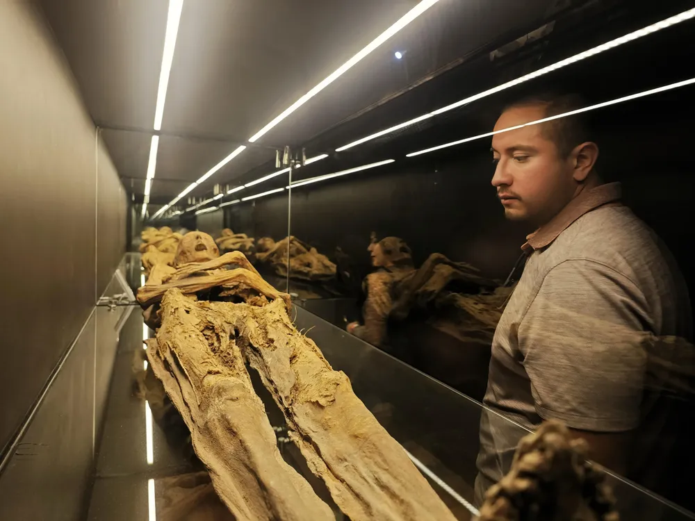 WhatsApp Image 2025-01-09 at 16.11.53