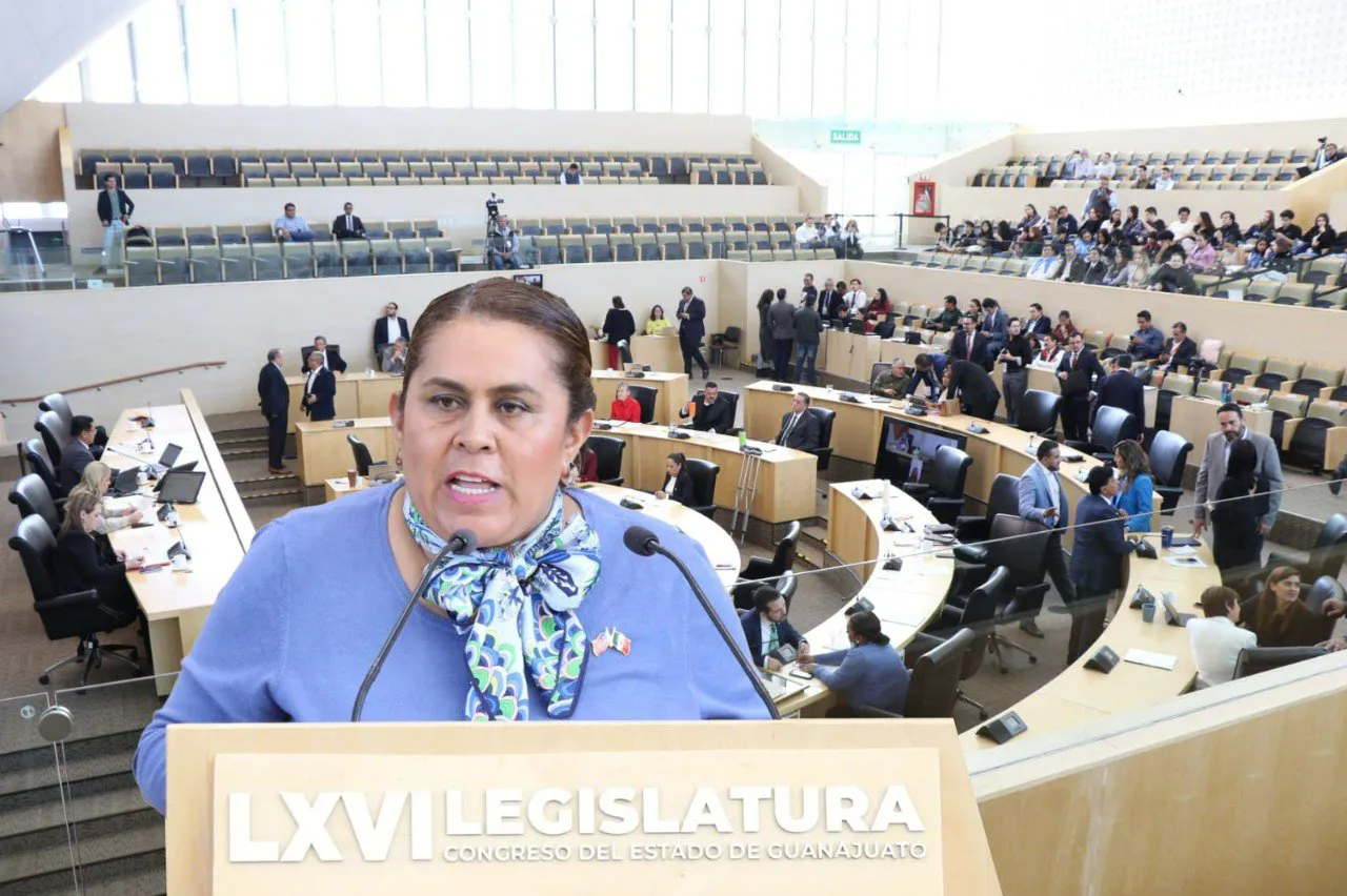 photo_2024-11-15 07.31.11