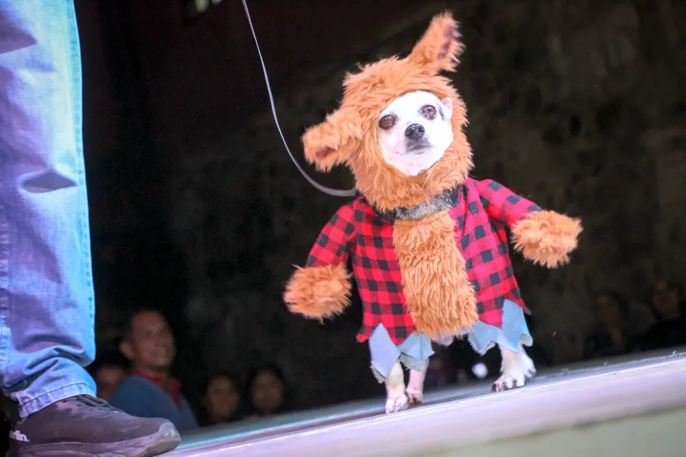 WhatsApp Image 2025-11-01 at 16.53.34