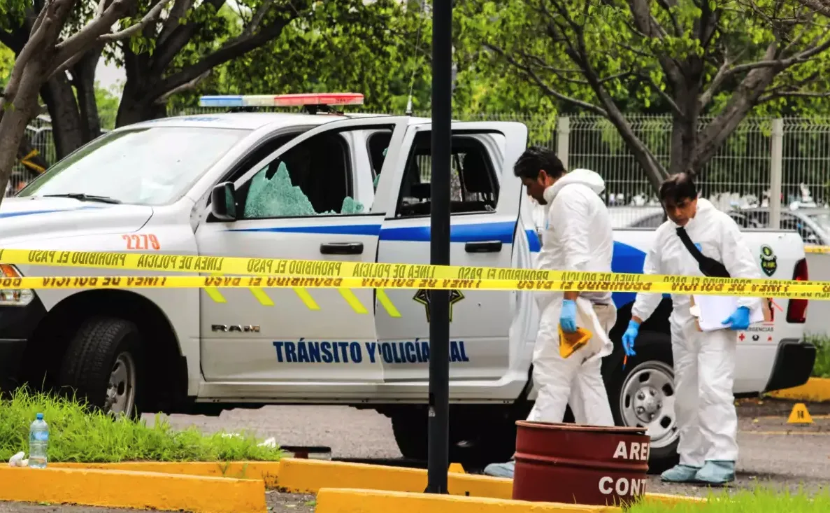 Captura de pantalla 2024-07-24 a la(s) 11.36.28 p.m.