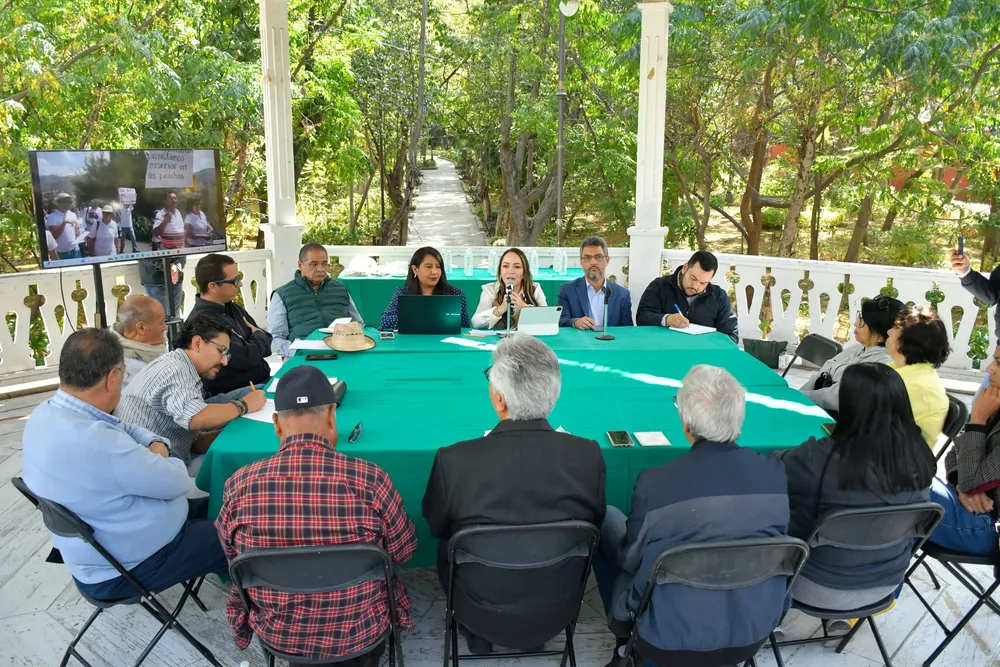 WhatsApp Image 2024-12-11 at 19.51.41