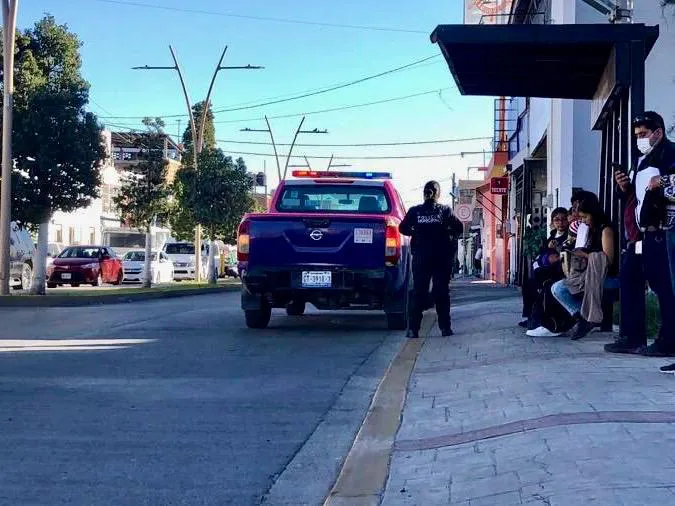 WhatsApp Image 2024-11-26 at 17.34.12