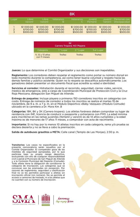 66d2af_4be59cd163c94df3ba678b874ba51389~mv2