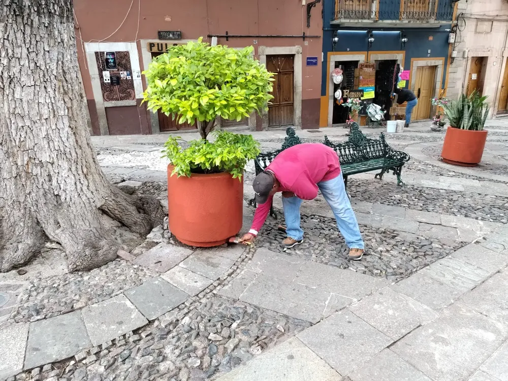 WhatsApp Image 2024-07-20 at 14.14.52