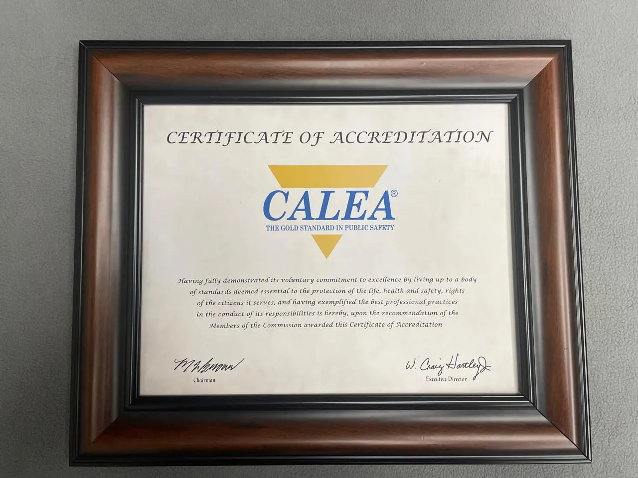 WhatsApp Image 2024-07-29 at 15.45.33 (1)