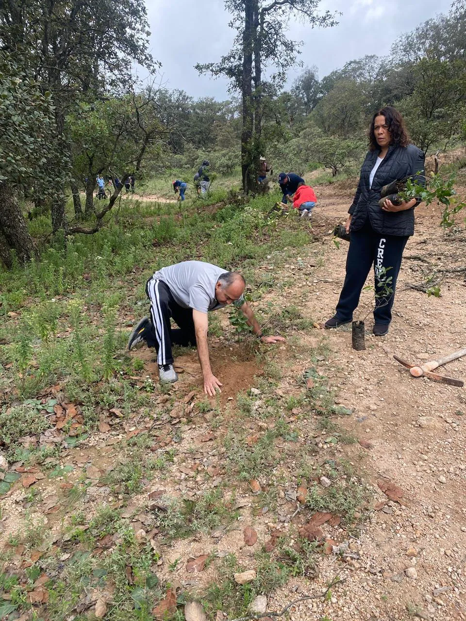 WhatsApp Image 2025-08-16 at 4.51.52 PM