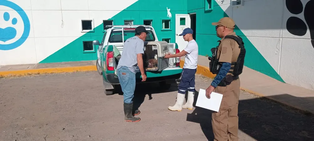 WhatsApp Image 2024-10-25 at 19.12.04