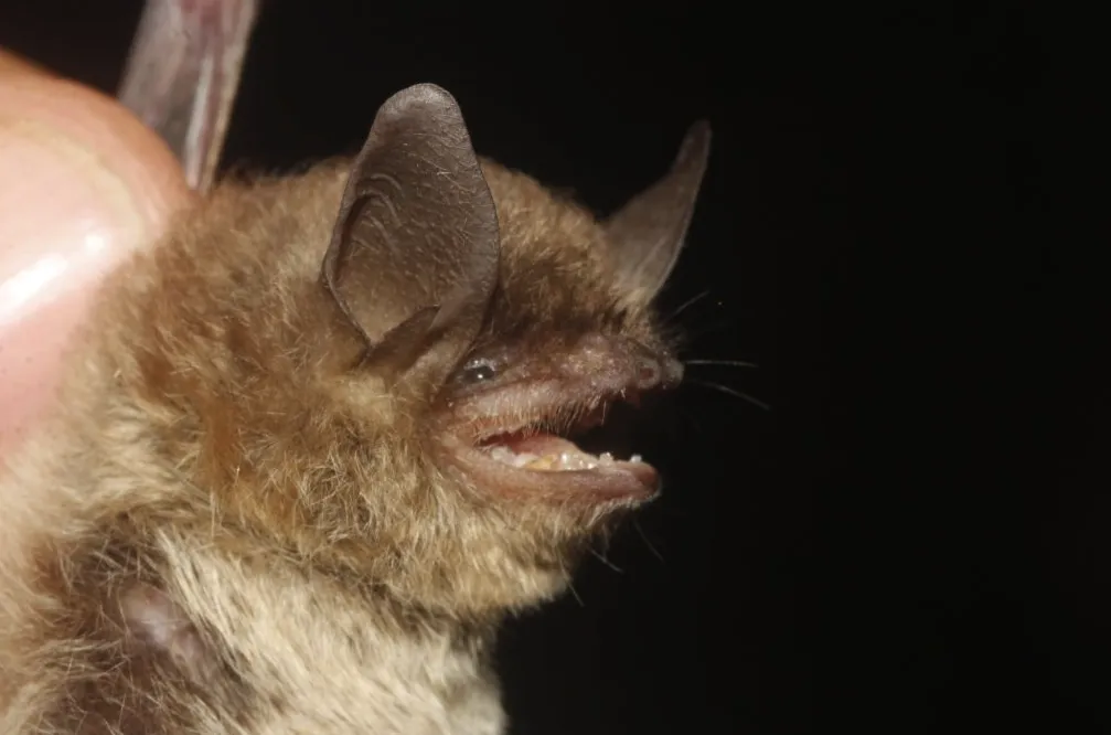 Captura de pantalla 2024-01-16 a la(s) 2.40.48 a.m.