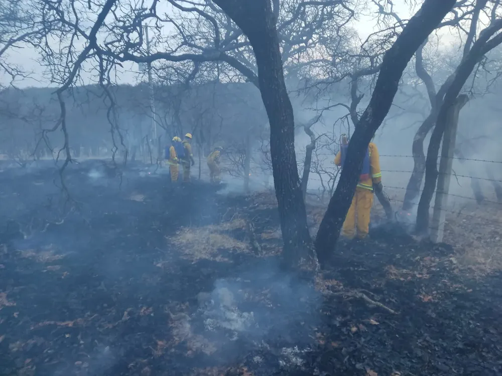 WhatsApp Image 2025-04-30 at 12.25.25 PM