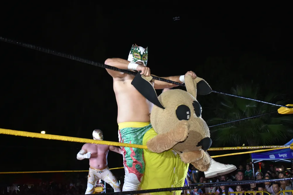 LUCHA 6