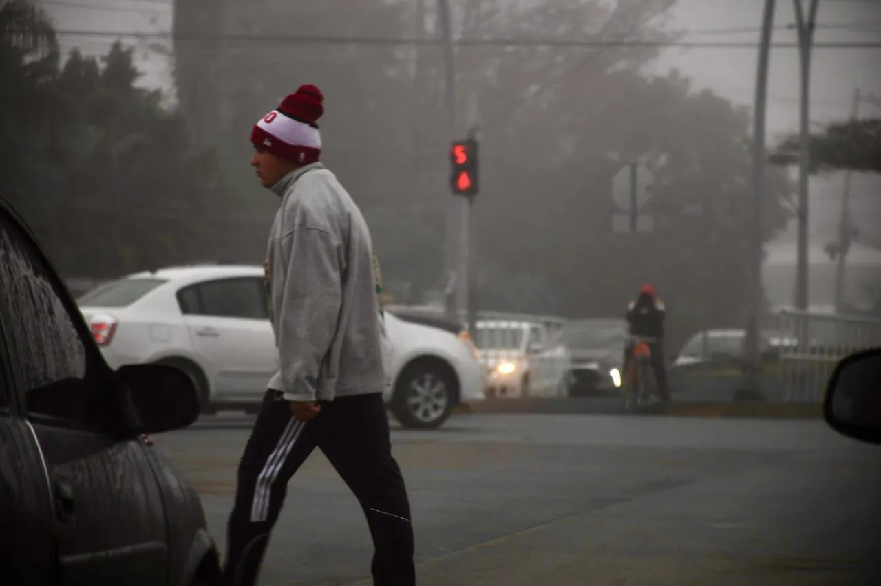 WhatsApp Image 2025-11-25 at 12.20.01