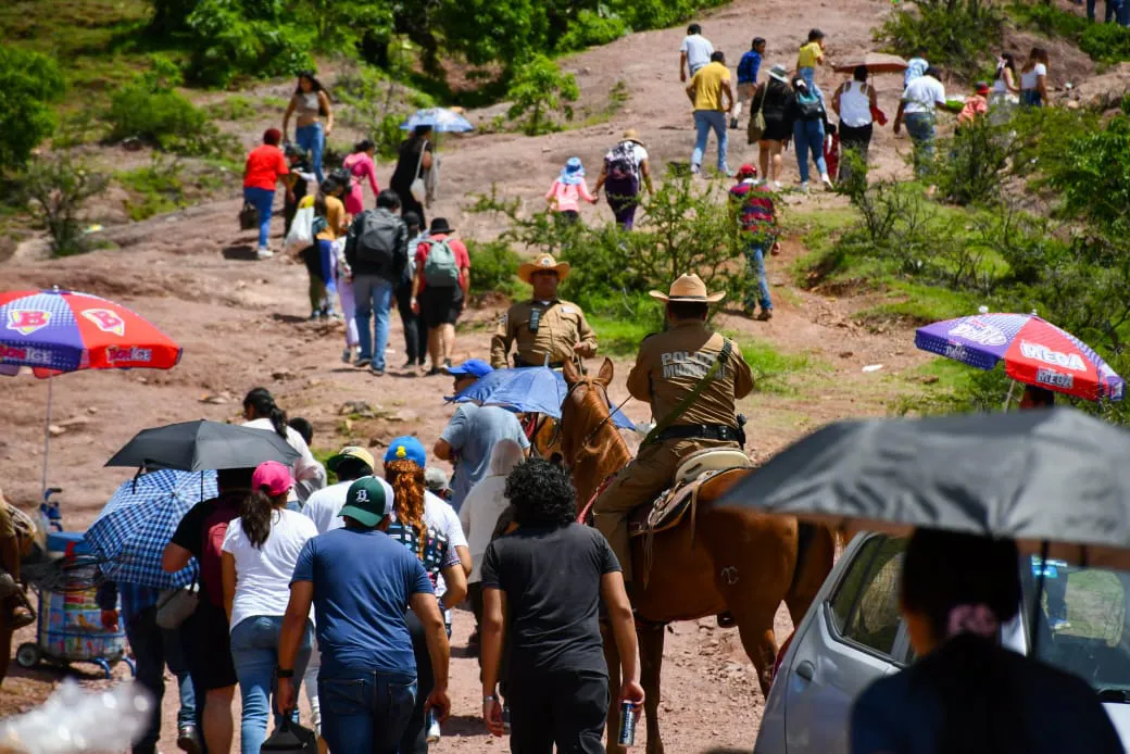 WhatsApp Image 2024-07-31 at 19.23.09 (1)