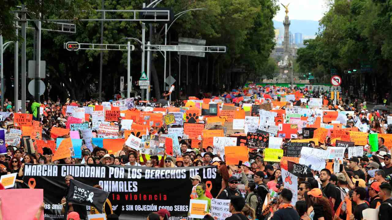 maltrato-animal-marcha-cdmx