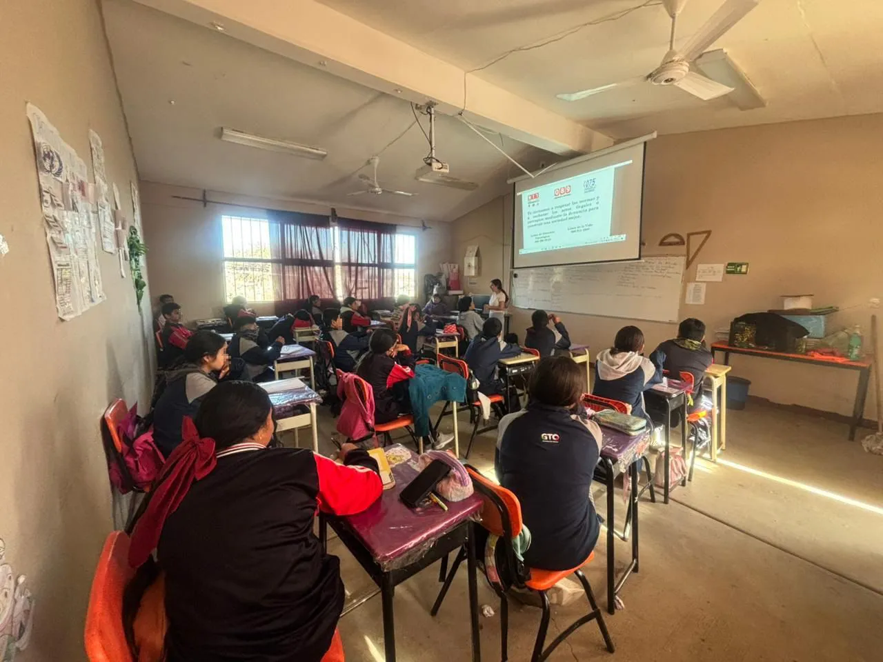 WhatsApp Image 2025-01-30 at 15.07.18