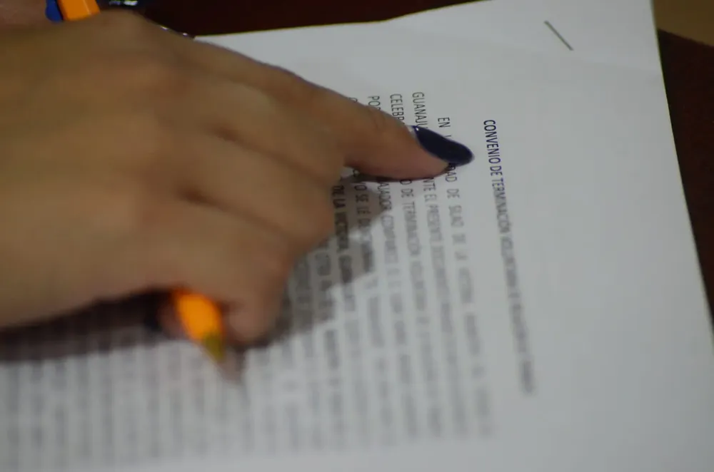 WhatsApp Image 2025-03-19 at 15.49.50