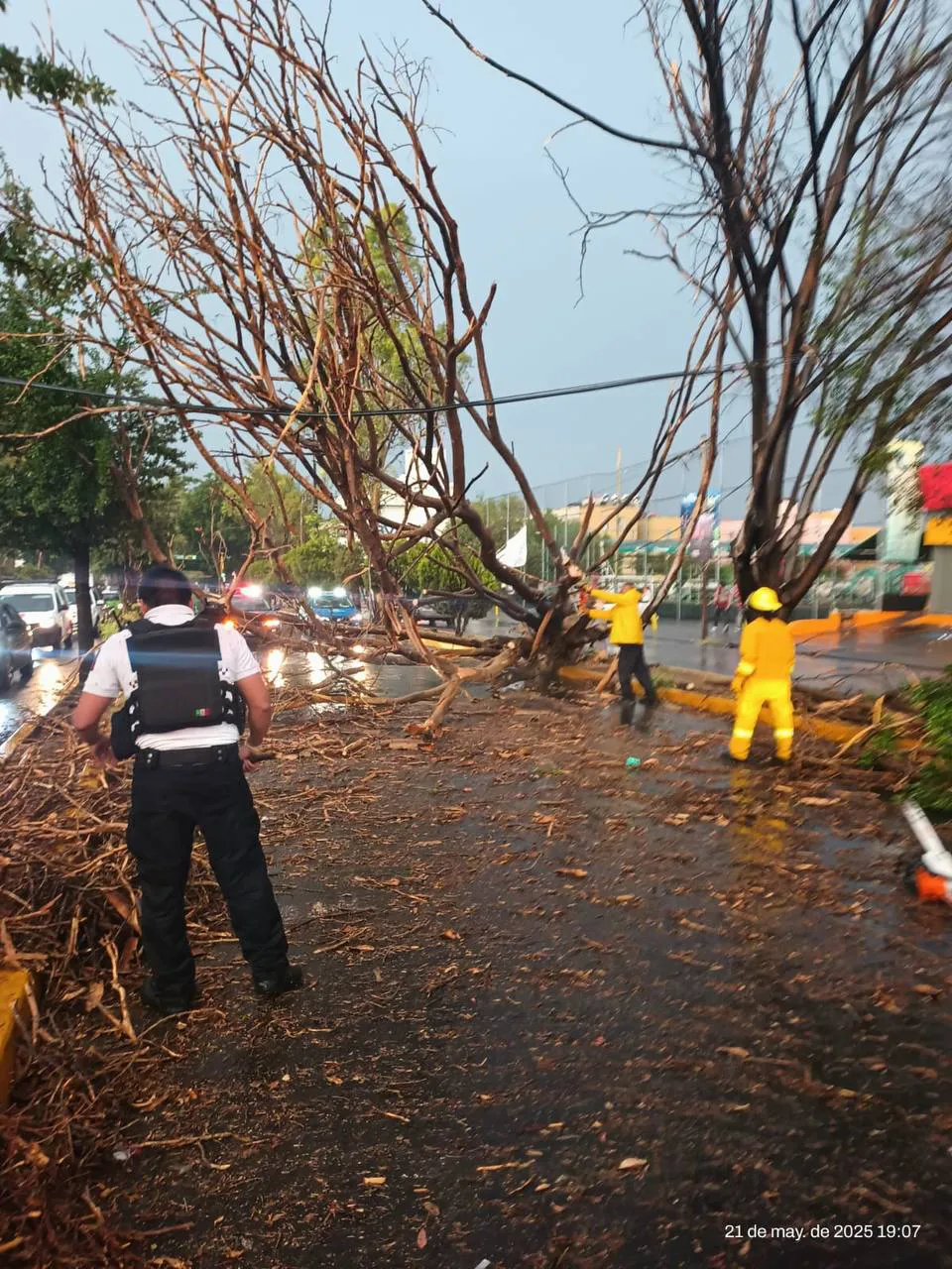 photo_2025-05-22_11-14-02