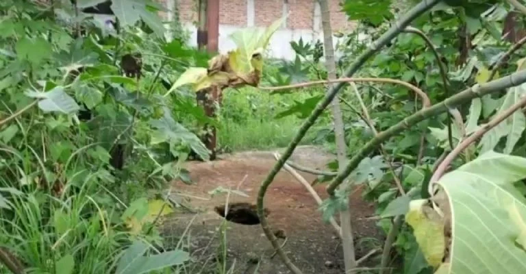 f768x400-642344_686247_5050