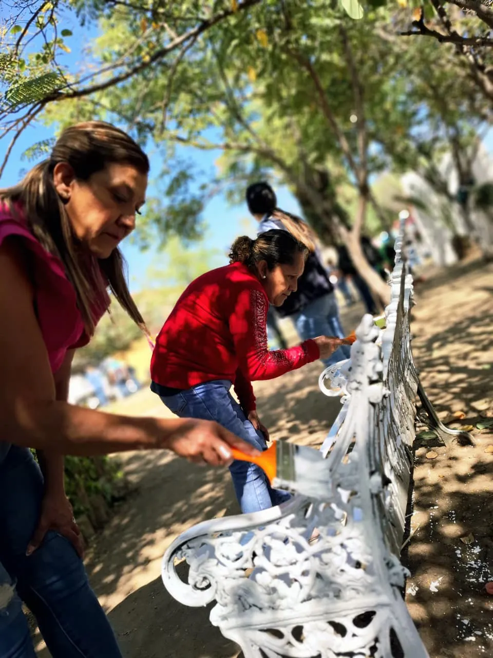 WhatsApp Image 2025-11-09 at 15.12.18