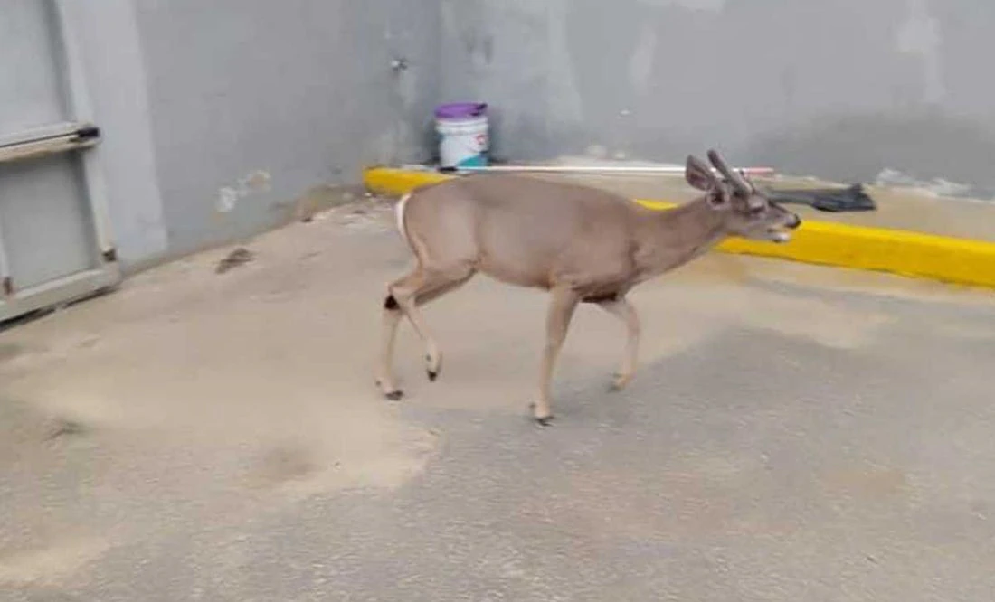 WQAI7C3UW5BODD6JU2DP3RRBJ4