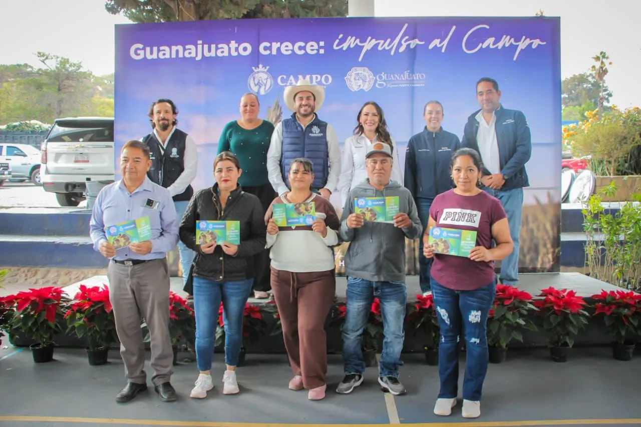 WhatsApp Image 2025-12-08 at 17.58.47