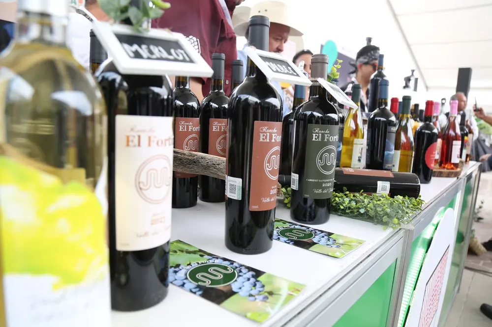 Vinos Guanajuatenses