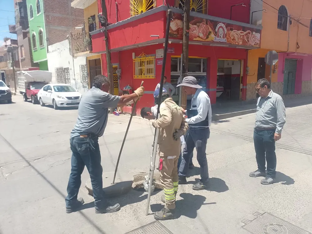 6d47ced1-3b79-4ded-afa9-d14db39b2f31