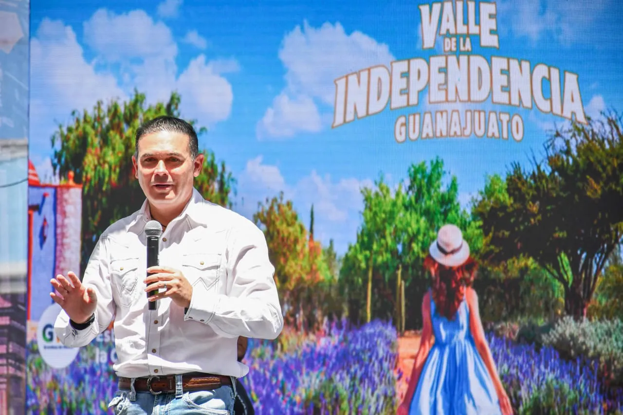 WhatsApp Image 2024-08-15 at 14.16.50