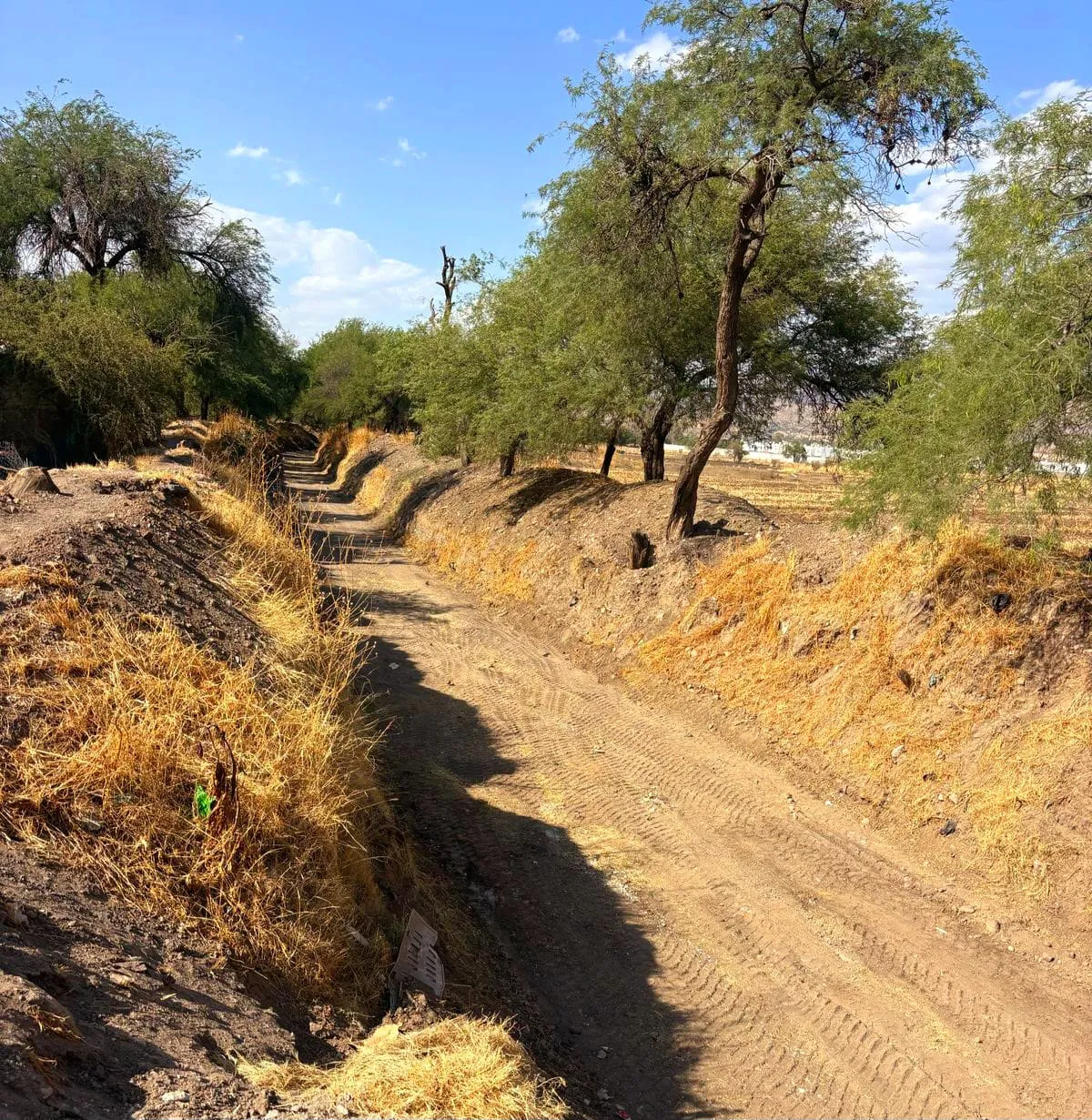 835a2929-c87e-4271-925e-9fb2e1f12b05