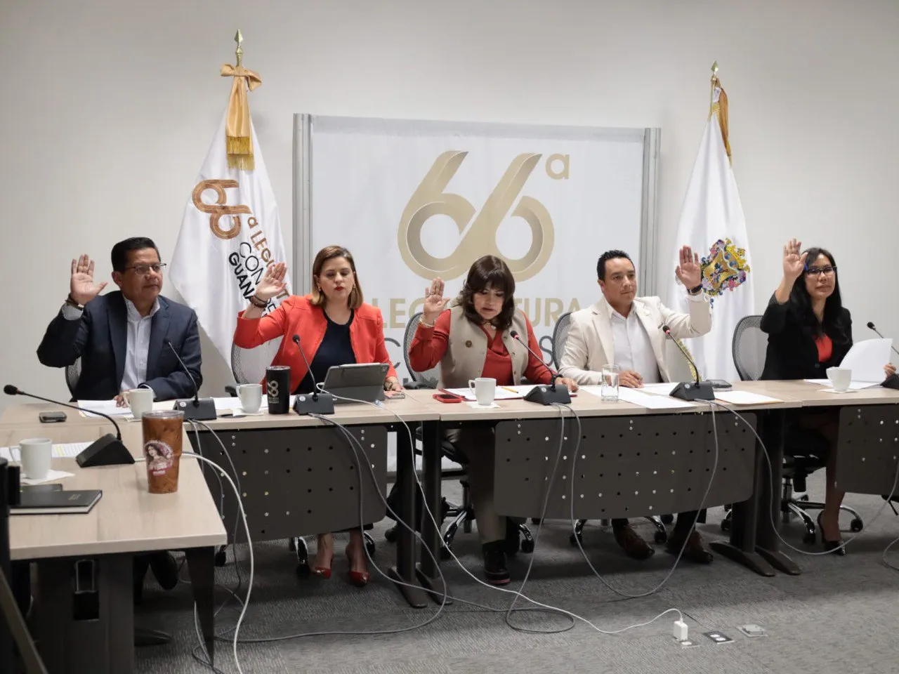 photo_2026-02-12 02.00.22