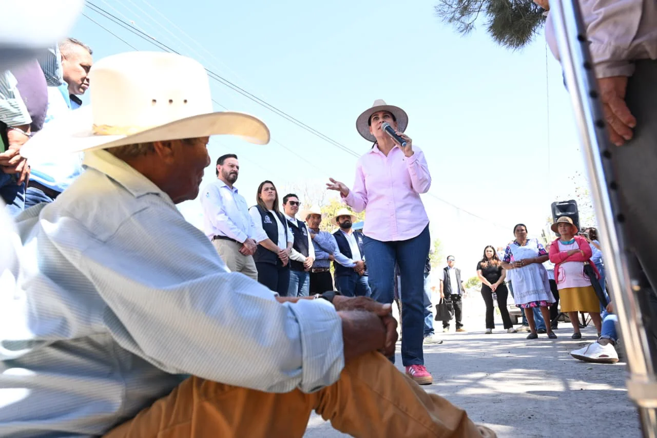 WhatsApp Image 2026-02-17 at 17.22.46