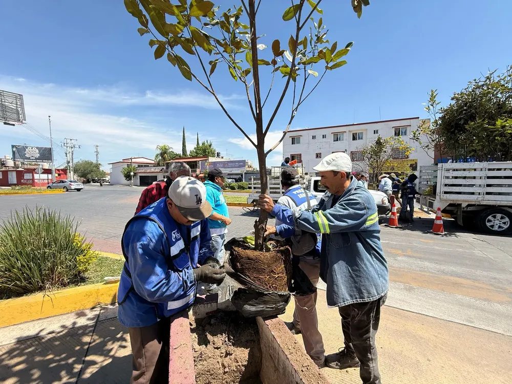 WhatsApp Image 2025-03-31 at 12.18.01 (1)