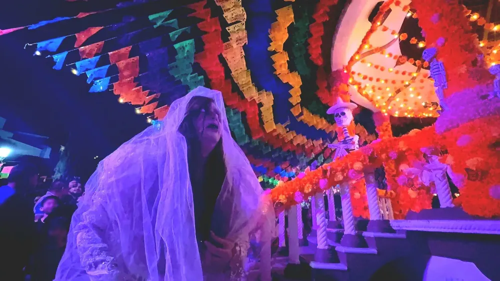 WhatsApp Image 2025-10-29 at 12.30.05