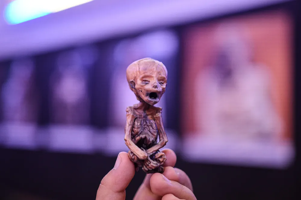 WhatsApp Image 2024-01-25 at 14.40.19