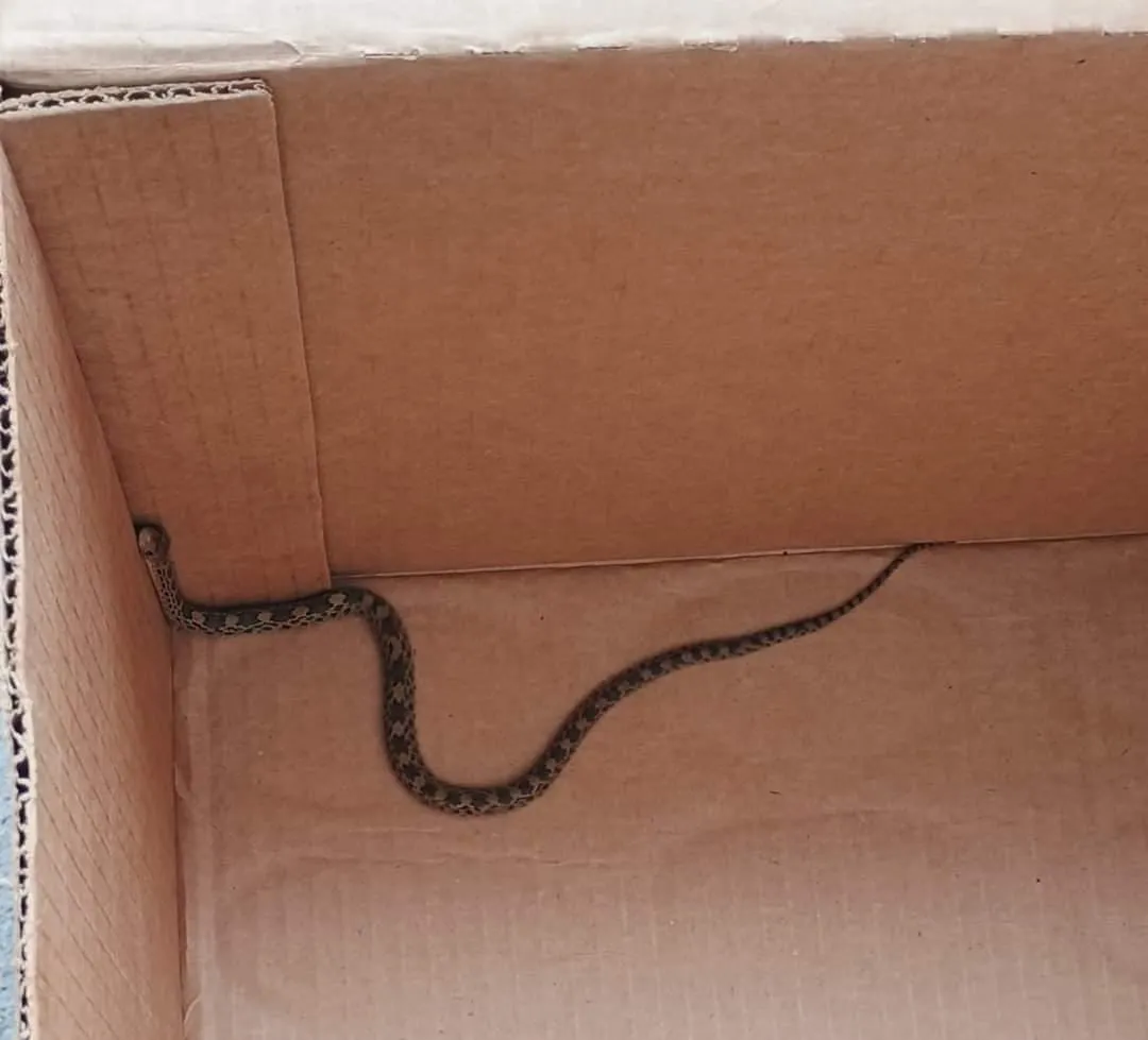 WhatsApp Image 2024-07-19 at 16.45.49