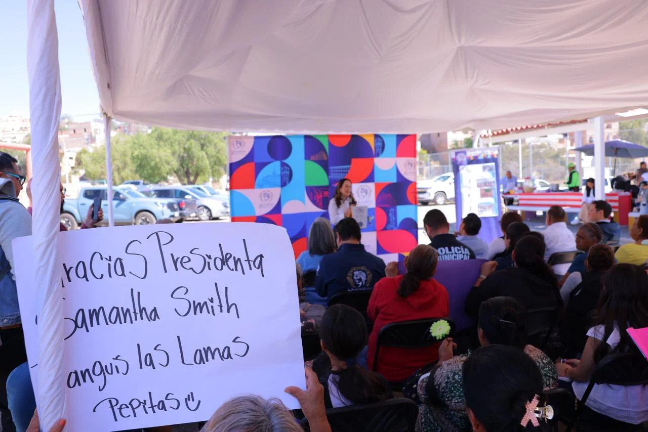 WhatsApp Image 2026-02-18 at 19.57.15