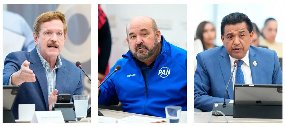 WhatsApp Image 2026-02-12 at 14.29.04