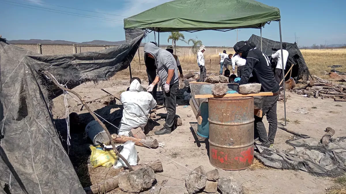 Hornos crematorios Jalisco copia