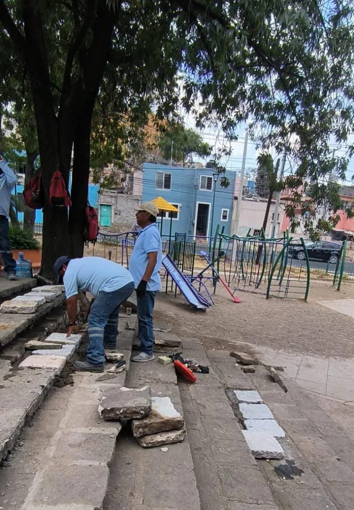 WhatsApp Image 2024-05-28 at 17.18.53