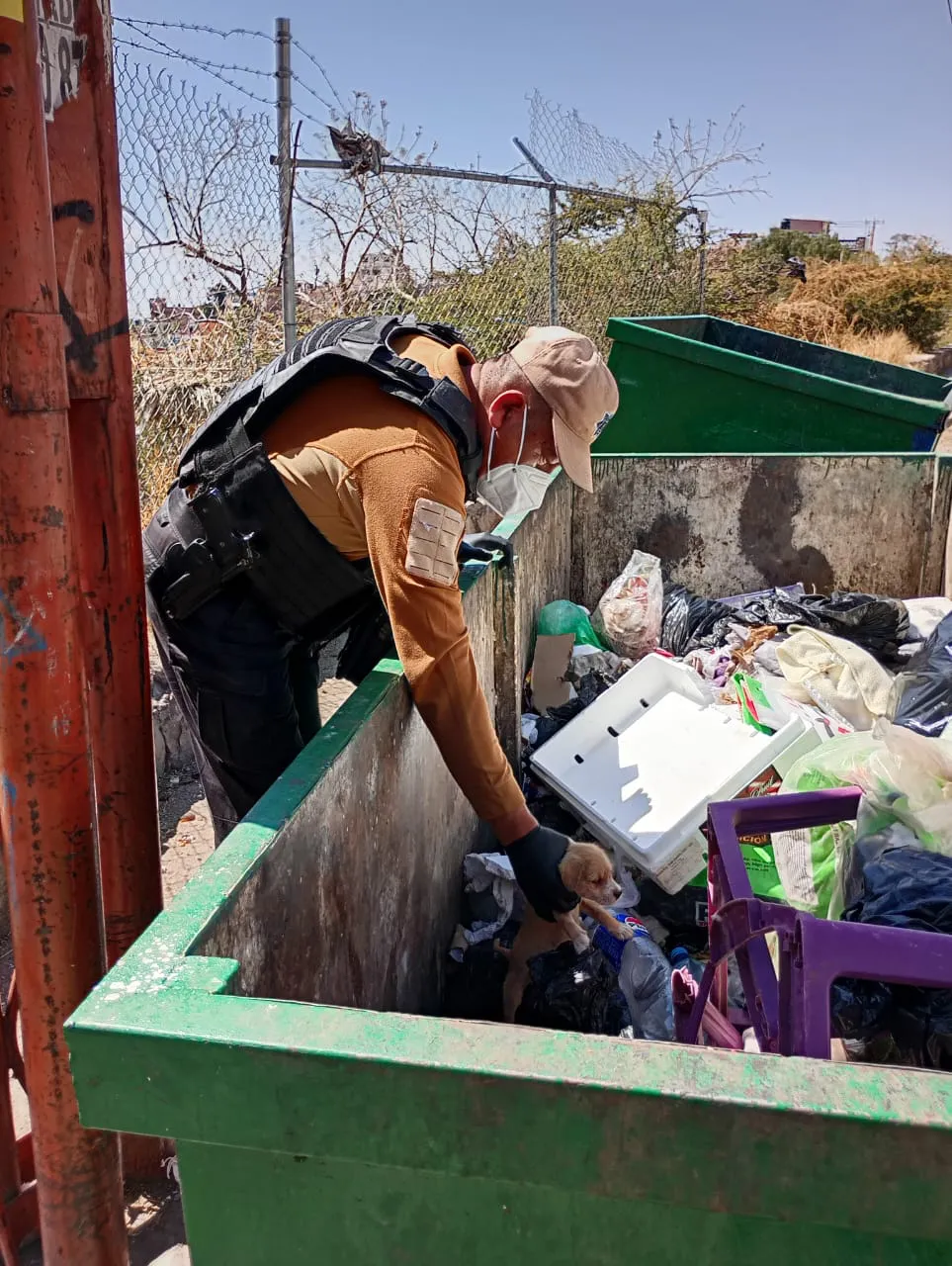 WhatsApp Image 2025-02-09 at 16.00.07