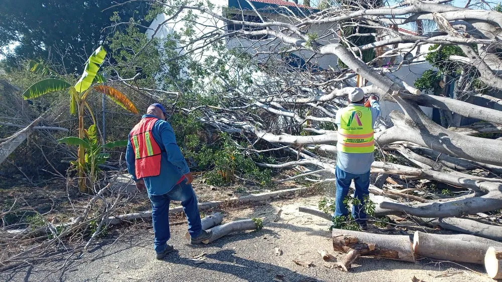 WhatsApp Image 2026-04-06 at 2.38.46 PM