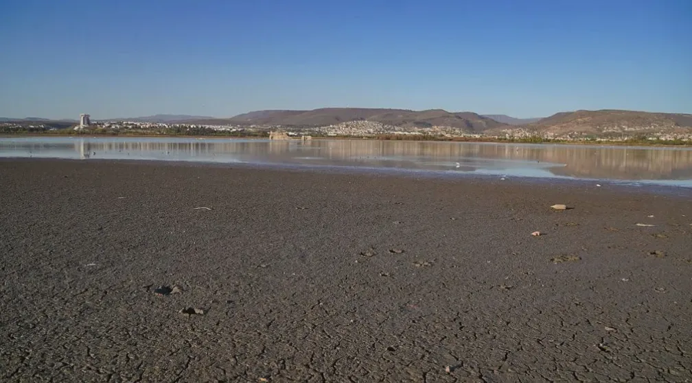 Captura de pantalla 2024-02-08 a la(s) 5.06.57 a.m.