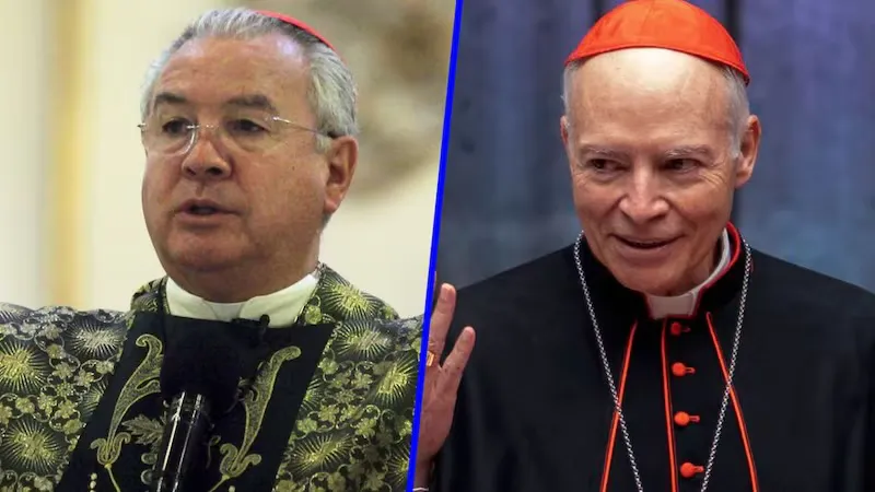 Cardenales mexicanos copia